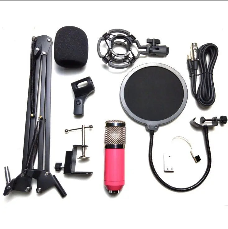Professional Net Microphone Stand Set for Optimal Sound - MusicandydesignsMusic Gadgets