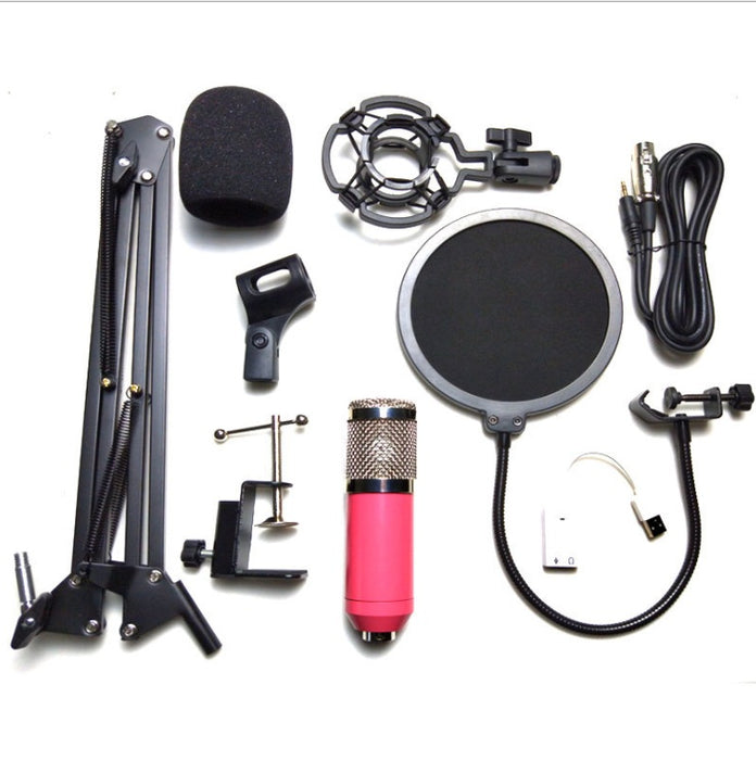 Professional Net Microphone Stand Set for Optimal Sound
