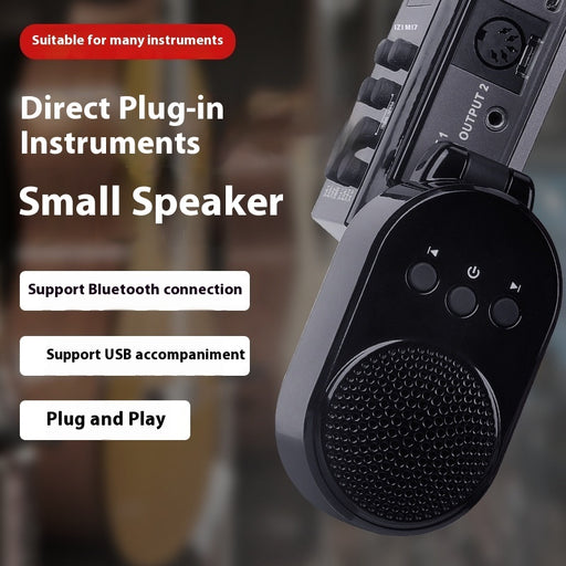 Electrical Blowpipe Sound Amplifier Instrument Direct Plug-in Mini Speaker